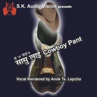 Sasulai Cowboy Pant songs mp3