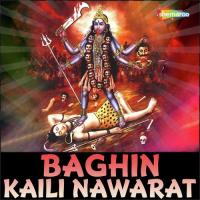 Baghin Kaili Nawarat songs mp3
