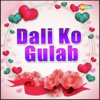 Dali Ko Gulab songs mp3