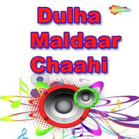 Dulha Maldaar Chaahi songs mp3