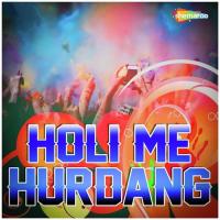 Holi Me Hurdang songs mp3