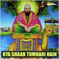 Kya Shaan Tumhari Hain songs mp3