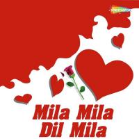 Mila Mila Dil Mila songs mp3