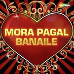 Mora Pagal Banaile songs mp3