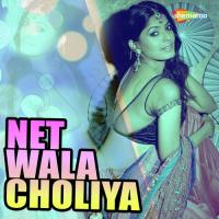 Net Wala Choliya songs mp3