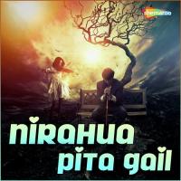 Hamri Maar Dihalan Dharmesh Singh Solanki Song Download Mp3