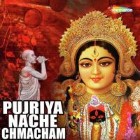 Pujriya Nache Chmacham songs mp3
