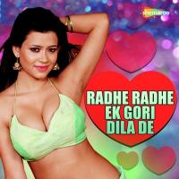 Radhe Radhe Ek Gori Dila De songs mp3