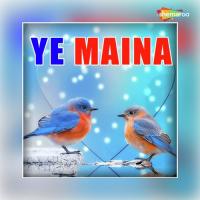 Yaara Re Yaara Re Paras,Richa,Krishna Song Download Mp3
