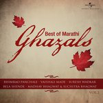 Best Of Marathi Ghazals (Vol. 2) songs mp3
