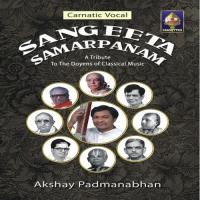 Pariyachakama - Raga - Vanaspati - Tala - Rupakam Akshay Padmanabhan Song Download Mp3