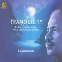 Tranquility - Dr L Subramaniam - Violin songs mp3