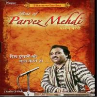 Best Of Parvez Mehdi songs mp3