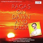 Aalap Raag Madhuvanti Ratnakar Tripathy (Tanu),Pandit Kalinath Misra Song Download Mp3
