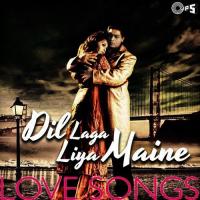 Dil Laga Liya Maine - Love Songs songs mp3