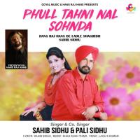 Phull Tahni Nal Sohnda Sahib Sidhu,Pali Sidhu Song Download Mp3