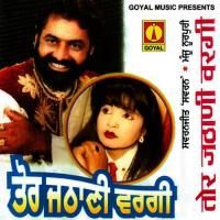 Peeti Vich Galti Ho Gayi Sawranjit Swarn,Manju Noorpuri Song Download Mp3