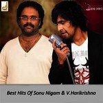 Best Hits Of Sonu Nigam And V. Harikrishna songs mp3