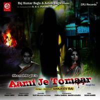Amar Lal Sari Chahiye Re Bashuwanti,Aniruddh Rana Song Download Mp3