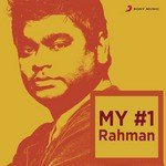 Mehndi Hai Rachnewali Alka Yagnik Song Download Mp3