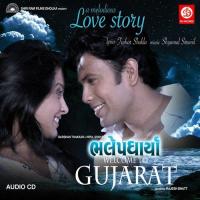 Bhale Padharya - Welcome To Gujarat songs mp3