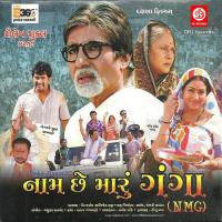 Paapiyo Na Paap Dhove Suresh Shukla Song Download Mp3