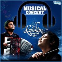 Musical Concert - A.R. Rahman Special songs mp3