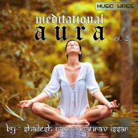 Meditational Aura Vol. 2 songs mp3