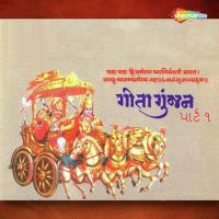Om Namah Bhagavate Ku Parul Vyas,Niraj Parikh,Kalapi Vyas Song Download Mp3