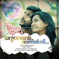 Thoovenvaanil Nee Vineeth Sreenivasan,Amal Viswanath Song Download Mp3