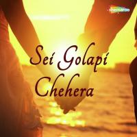 Sei Golapi Chehera songs mp3