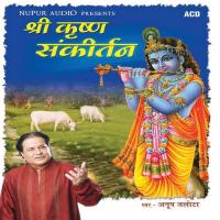 Shri Krishna Sankeertan songs mp3