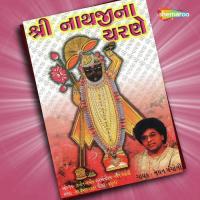 Shrinathji Na Charne songs mp3