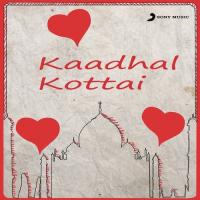 Kaalamellam Kadhal (From "Kadhal Kottai") K. S. Chithra,P. Unnikrishnan Song Download Mp3