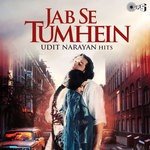 Chandni Aaya Hai Tera Deewana (From "Jaanam Samjha Karo") Udit Narayan Song Download Mp3