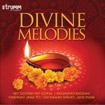 Payoji Maine Ram Ratan Dhan - Violin P. Thyagaraju Song Download Mp3