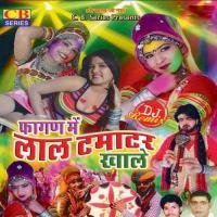 Chunar Mari Rang Dini Gokul Sharma Song Download Mp3
