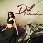O Sahiba O Sahiba (From "Dil Hai Tumhaara") Kavita Krishnamurthy,Sonu Nigam Song Download Mp3