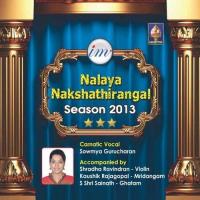 Nalaya Nakshathirangal - Season 2013 - Sowmya Gurucharan songs mp3