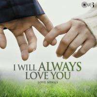 I Will Always Love You - Love Songs songs mp3