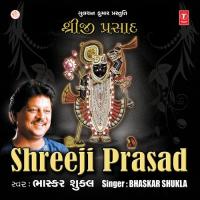 Bhagwadji No Aambo Bhaskar Shukla,Vidita Bhashkar Song Download Mp3