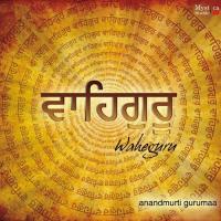 Invocation Anandmurti Gurumaa Song Download Mp3