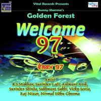 Vehre Mitran De Nirmal Sidhu Song Download Mp3