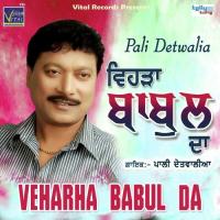 Mahi Di Koyi Gal Das Ve Pali Detwalia Song Download Mp3