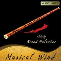 Musical Wind songs mp3