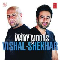 Many Moods Of Vishal-Shekhar songs mp3