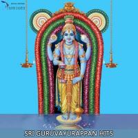 Radhikerangam (From "Krishna Guruvayoorappa") Sindhu Premkumar Song Download Mp3