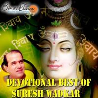 Jai Ho Teri Jai Ho Suresh Wadkar Song Download Mp3