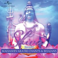 Om Namah Shivaya Jagjit Singh Song Download Mp3