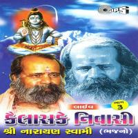Aaj To Hamare Bholenath Aaye Shree Narayan Swami Song Download Mp3